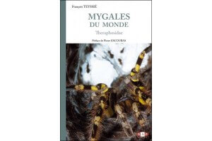 Mygales du monde - Theraphosidae